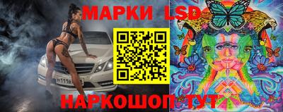 СК Краснодар