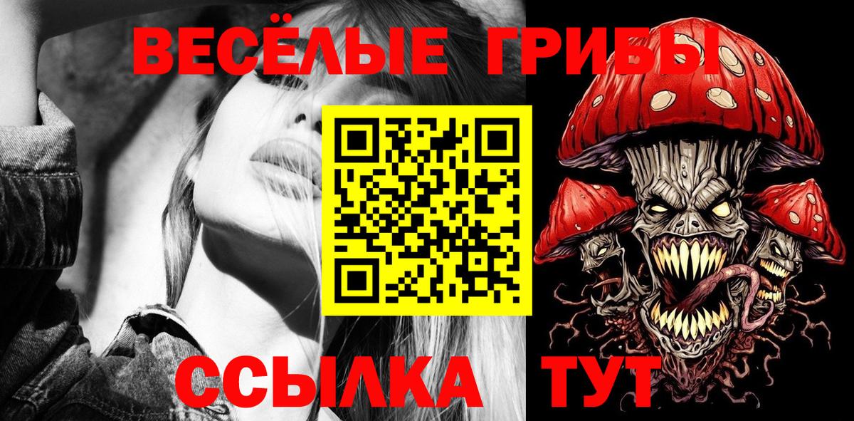 Черняховск  Псилоцибиновые грибы мухоморы  Вход с VPN 