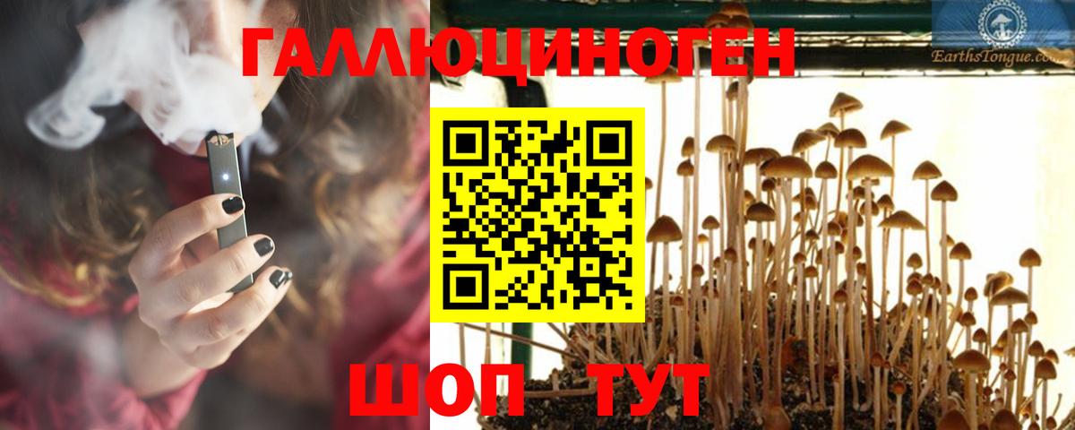 Псилоцибиновые грибы мицелий Черняховск
